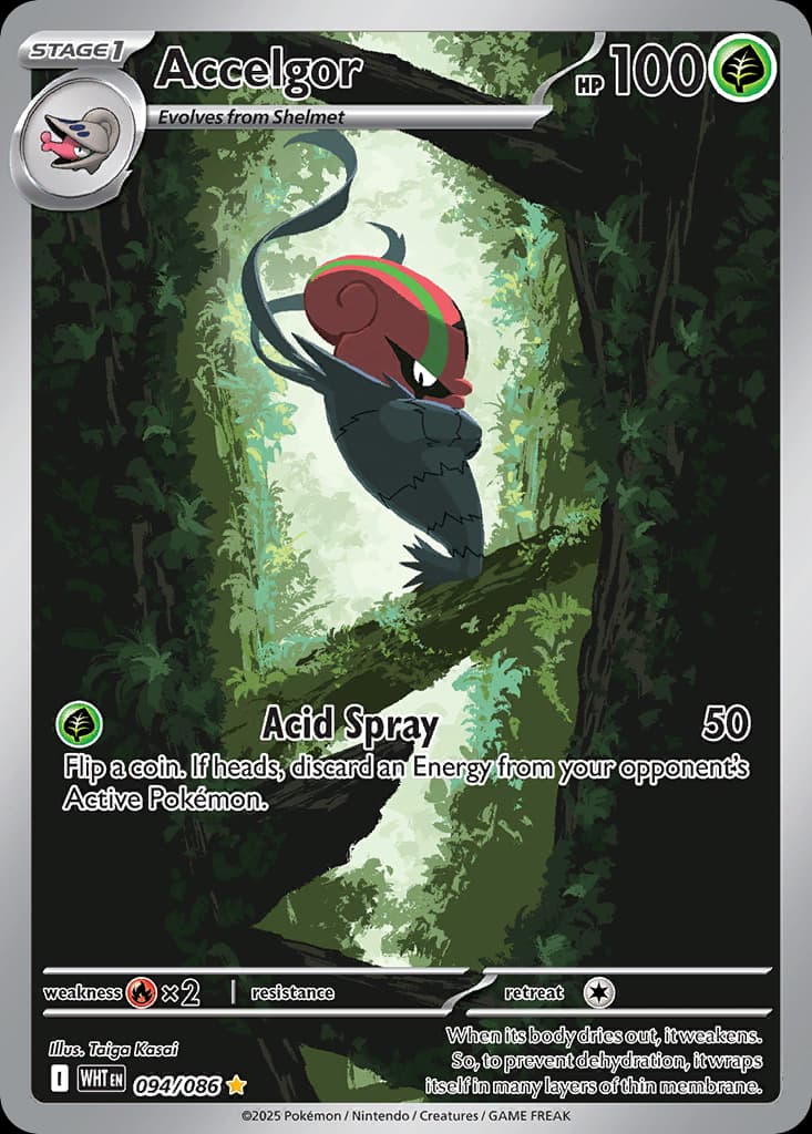 Accelgor
