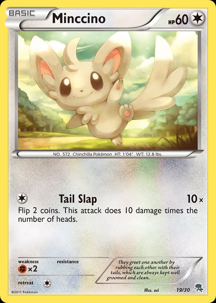 Minccino